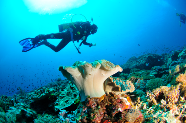 Bautismo o Buceo en Amed - Imagen 2